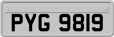 PYG9819