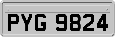 PYG9824