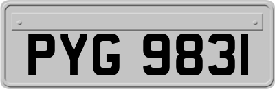 PYG9831