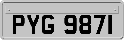 PYG9871