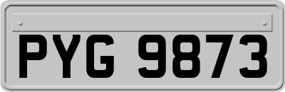 PYG9873