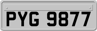 PYG9877