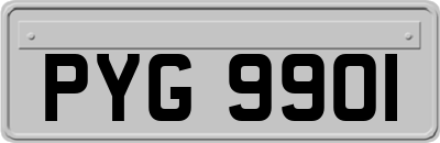 PYG9901