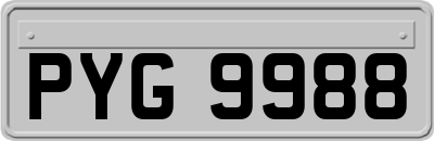 PYG9988