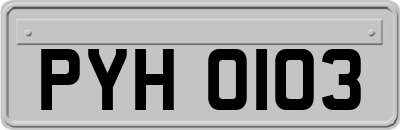 PYH0103