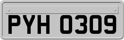 PYH0309