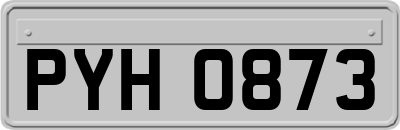 PYH0873