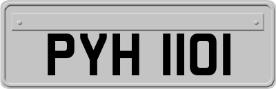 PYH1101