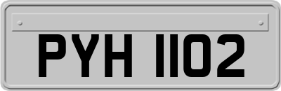 PYH1102