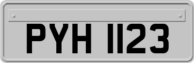 PYH1123