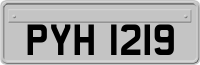 PYH1219