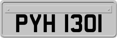 PYH1301