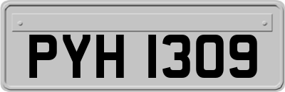 PYH1309