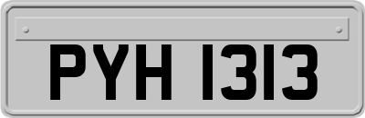 PYH1313