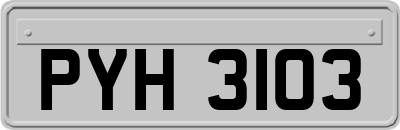 PYH3103