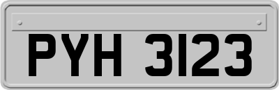 PYH3123