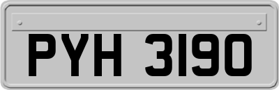 PYH3190