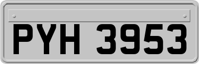 PYH3953