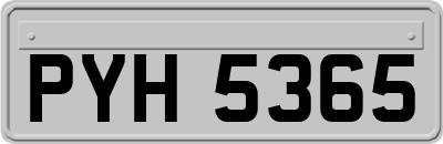 PYH5365