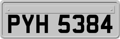 PYH5384