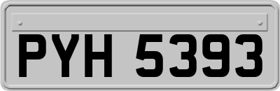 PYH5393