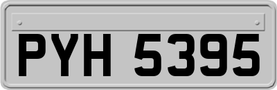 PYH5395