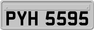 PYH5595