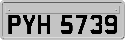 PYH5739