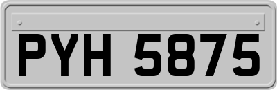 PYH5875