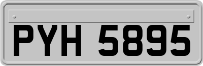 PYH5895