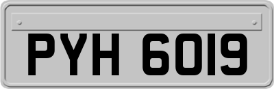 PYH6019