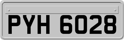 PYH6028