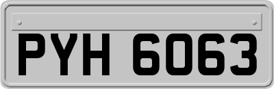 PYH6063