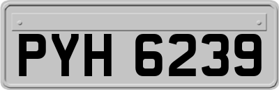 PYH6239