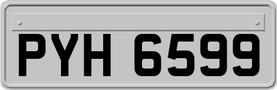 PYH6599