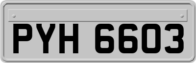 PYH6603