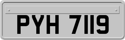 PYH7119