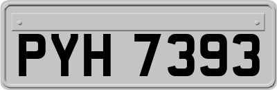 PYH7393