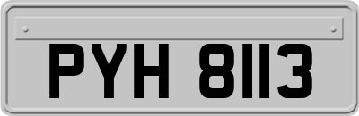 PYH8113