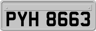 PYH8663