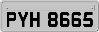 PYH8665