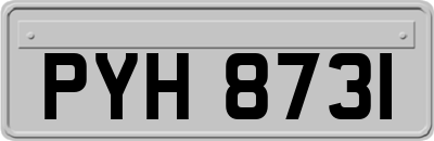 PYH8731