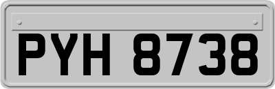 PYH8738