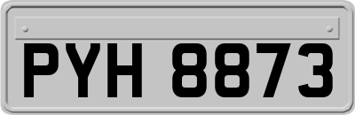 PYH8873