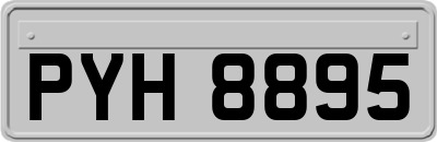 PYH8895