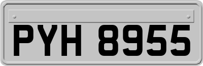 PYH8955