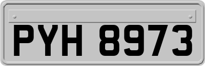 PYH8973