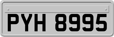 PYH8995