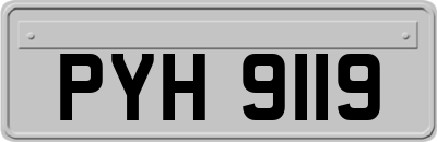 PYH9119