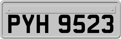 PYH9523